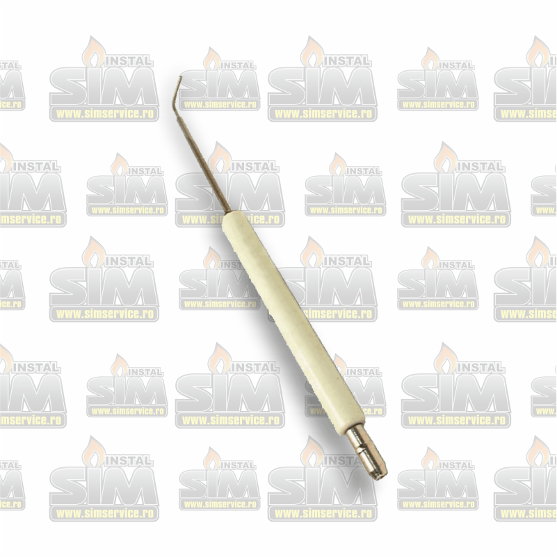 Electrod RIELLO 3006943