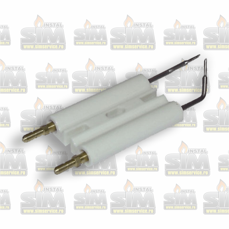 Grupul de electrozi RIELLO 3007617