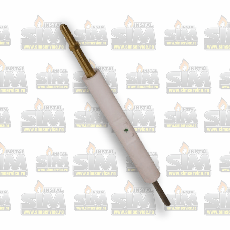 Electrod RIELLO 3008931