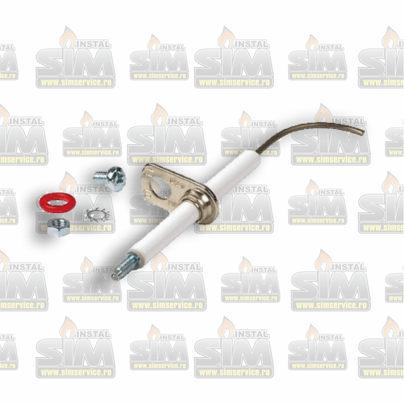 Electrod de Ionizare a condensului RIELLO 4365868