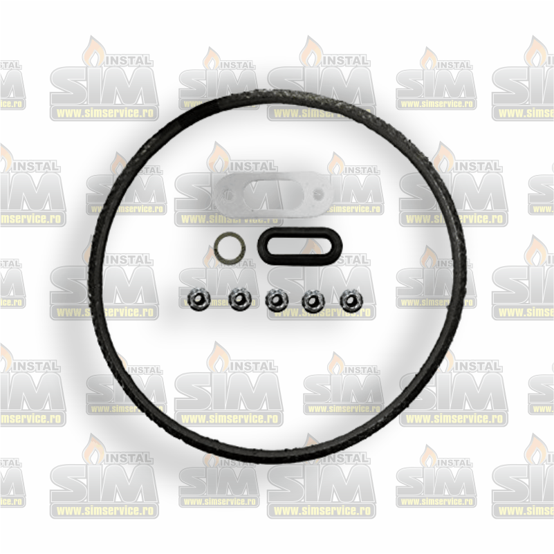 SET DE GARNITURI VAILLANT 0020025929